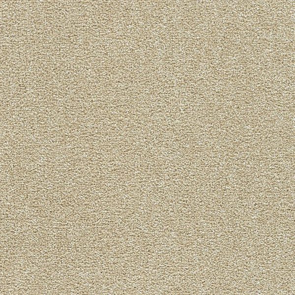 Polar 40oz Cut Pile Carpet Flooring - Ice