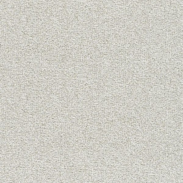 Polar 40oz Cut Pile Carpet Flooring - Snow