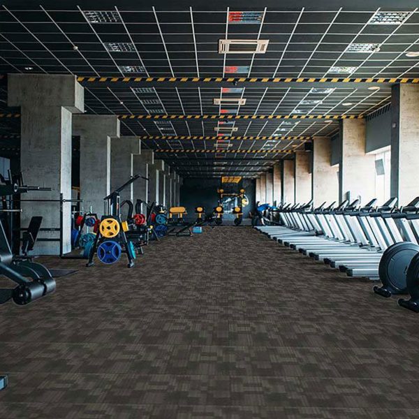 Carpet Tiles - 24" x 24" - The Lynx Collection - Shadow